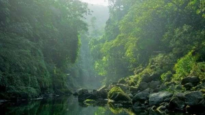 বান্দরবানের সেরা ১০ দর্শনীয় স্থান!