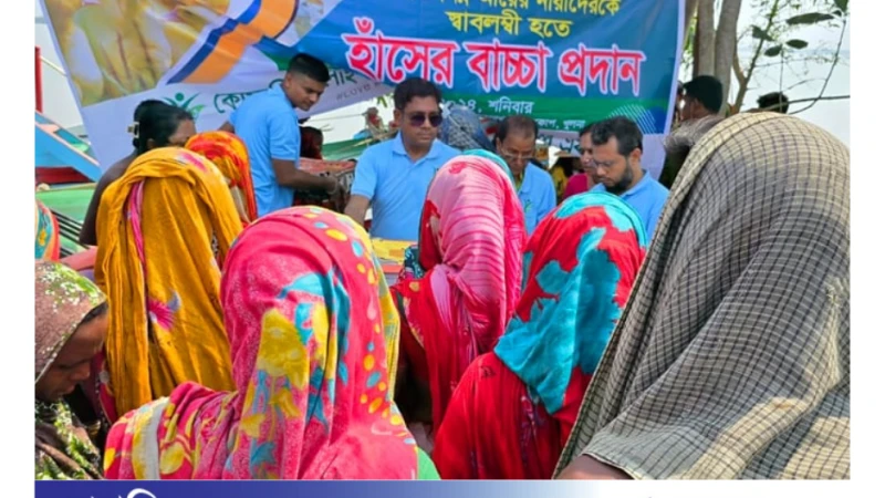 ক্ষতিগ্রস্ত নিম্ন আয়ের মানুষদের স্বাবলম্বী করতে: ২১০০ হাঁসের বাচ্চা দেওয়া হয়