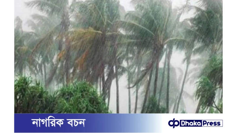 দেশের দুই জেলায় ৬০ কিলোমিটার বেগে ঝড়ের পূর্বাভাস