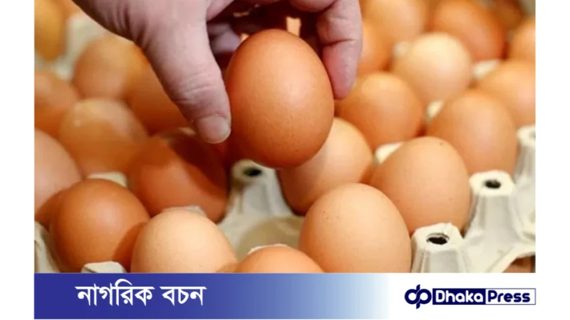 ডিমের দাম কেন বাড়ছে?