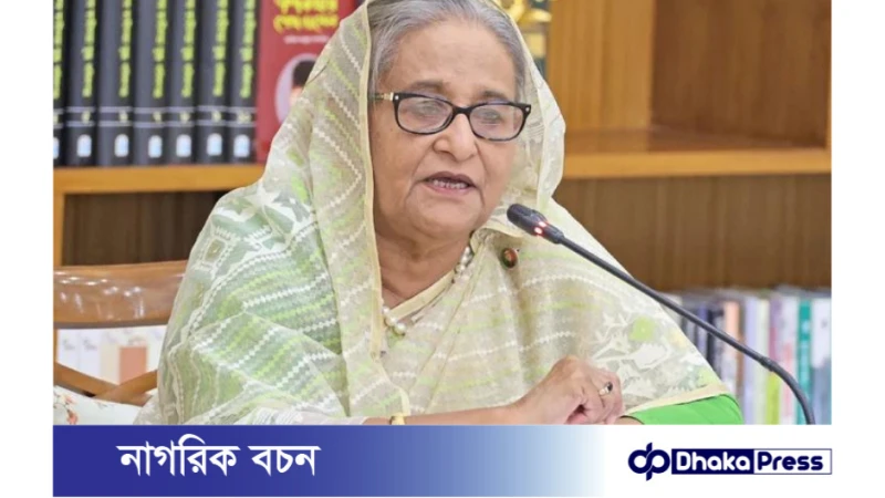প্রধানমন্ত্রী শেখ হাসিনা: অর্থনৈতিক সম্ভাবনা বিবেচনা করে প্রকল্প গ্রহণের নির্দেশ