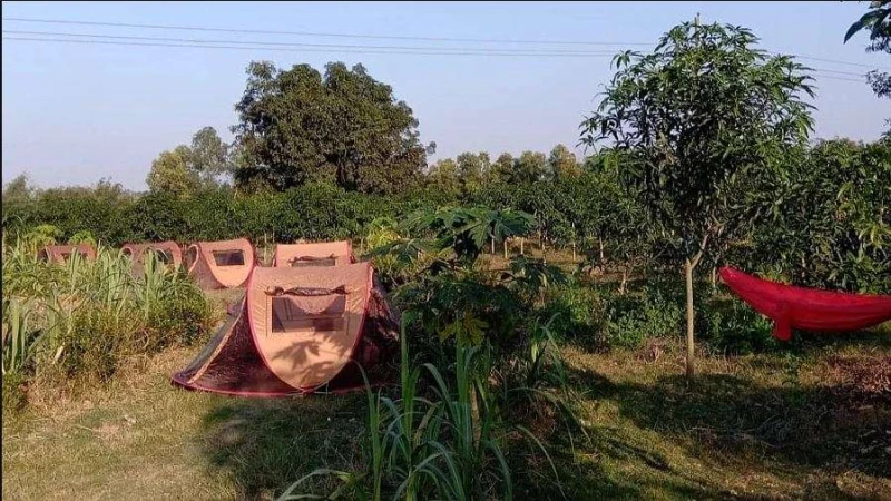 দেশে কৃষি পর্যটনের স্বপ্ন দেখাচ্ছে সোহেল রানার মিশ্র ফলের বাগান