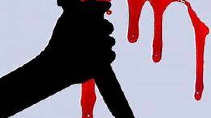 ভাড়াটে খুনি দিয়ে মাকে হত্যা!