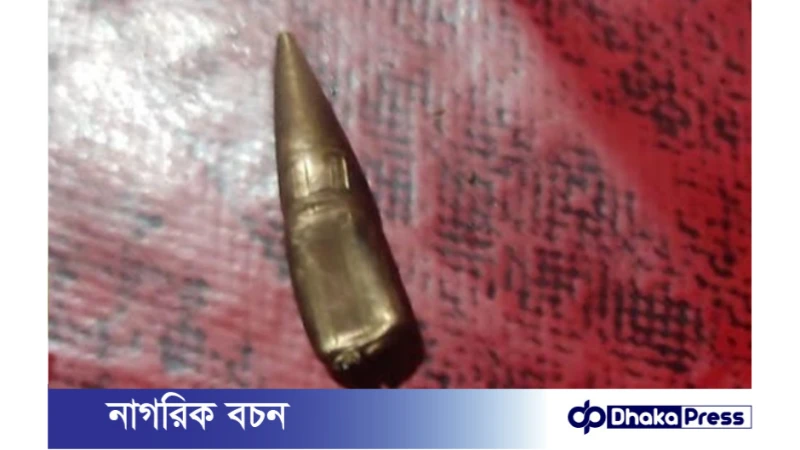 কুড়িগ্রাম সীমান্তে বিএসএফের গুলিতে বাংলাদেশির রান্নাঘরের চাল ফুটো!