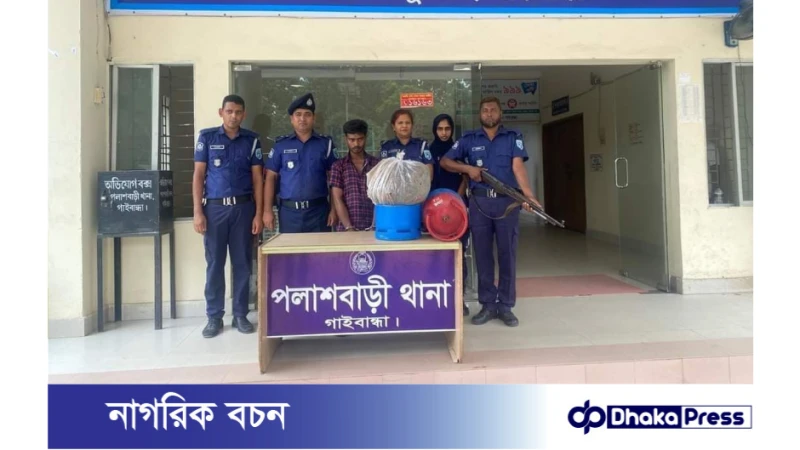 পলাশবাড়ীতে বিপুল পরিমাণ গাজাসহ  মাদক ব্যবসায়ী গ্রেফতার