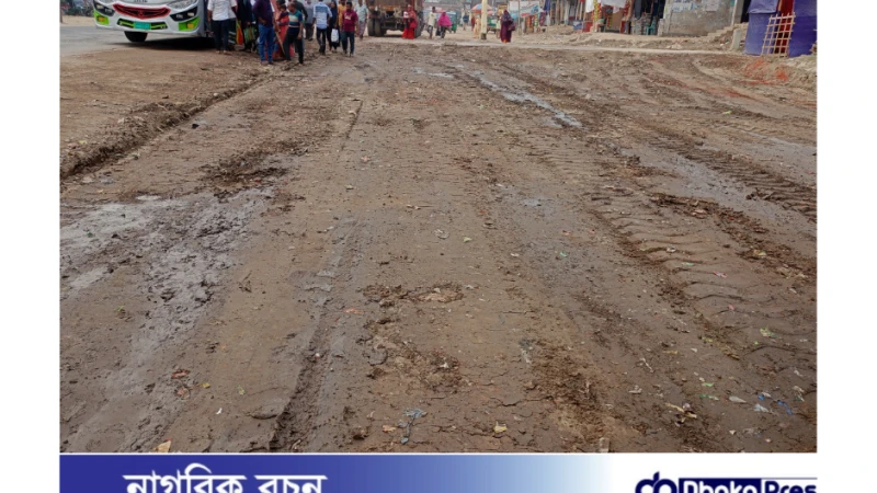 পলাশবাড়ীতে সাসেক প্রকল্প  বাস্তবায়ন কাজে ব্যাপক অনিয়ম