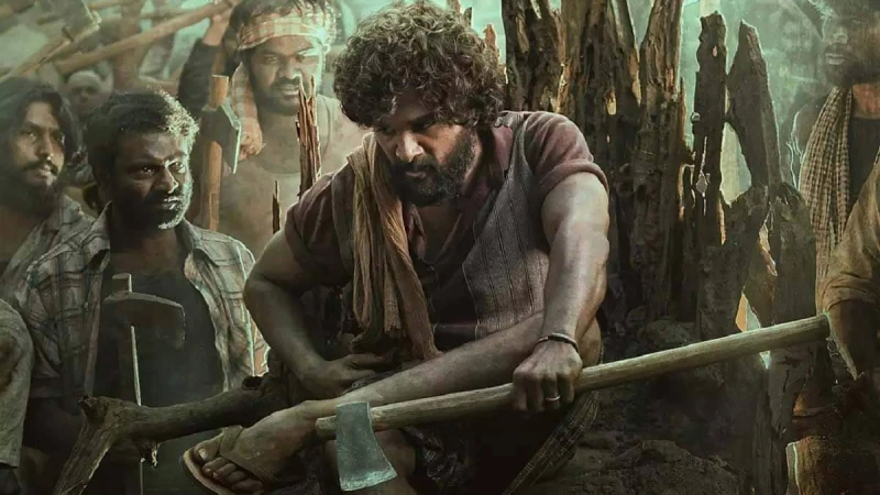 জন্মদিনের আগেই ‘নিখোঁজ’ আল্লু, ছাপানো হলো পোস্টার