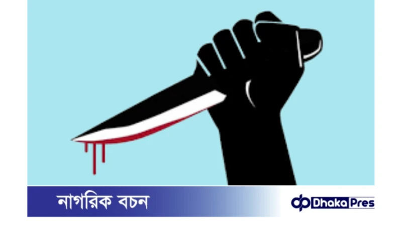 পলাশবাড়িতে চাচার ছুরির আঘাতে ভাতিজি  নিহত