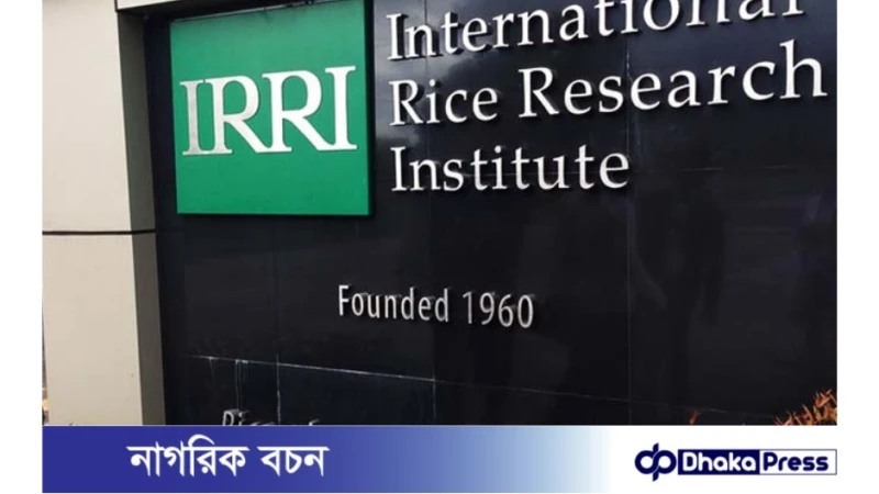 ১ লাখ ৭৭ হাজার টাকা বেতনে ইরিতে চাকরি 