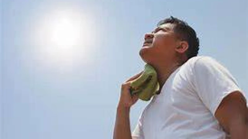 ১৪ জেলায় দাবদাহ বইছে, তীব্রতা আরও বাড়তে পারে