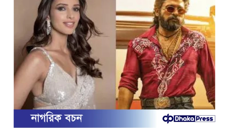 বহুল প্রতীক্ষিত পুষ্পা ২ সিনেমার আইটেম গানে তৃপ্তি