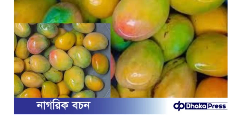 খাওয়ার আগে আম কেন পানিতে ভিজিয়ে রাখা জরুরি?