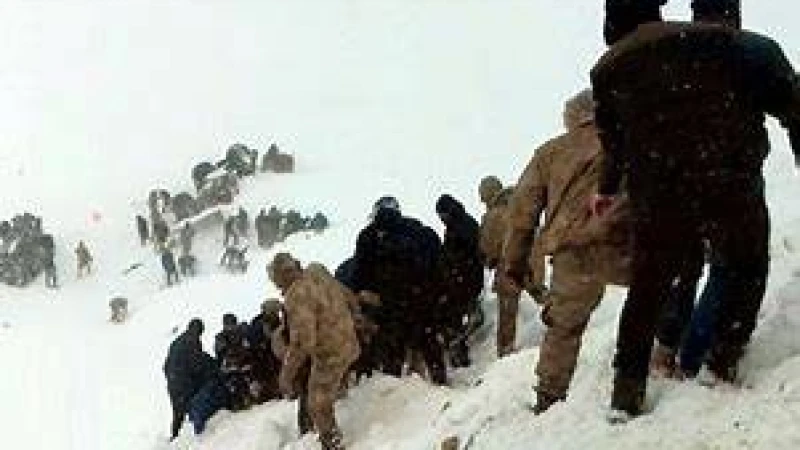 আলপসে তুষারধসে নিহত ৪