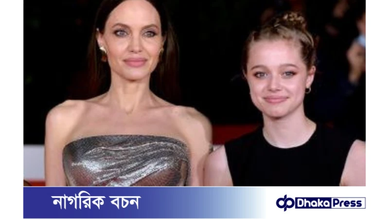 জোলি-পিটের সন্তানের পিতার নাম অপসারণে আইনি পদক্ষেপ