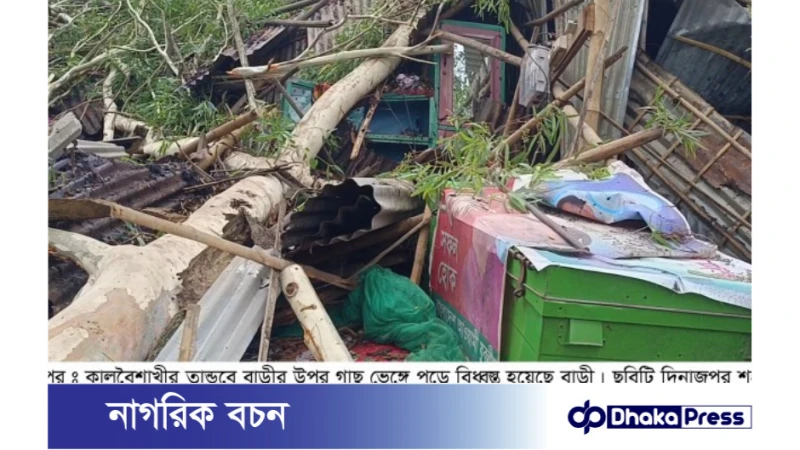 ঠাকুরগাঁওয়ে কয়েক মিনিটের ঝড়ে ক্ষতিগ্রস্ত স্থানীয়রা, ঝড়ে মৃত্যু ১ নারীর