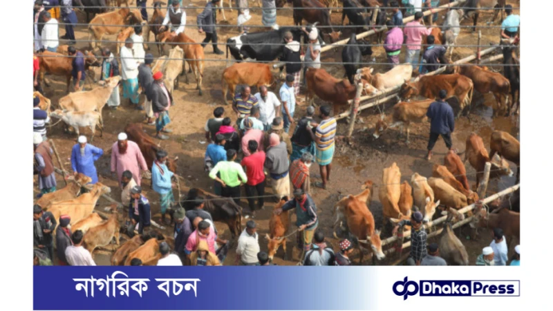 ১৭ পশুর হাটের ইজারা সম্পন্ন হলেও হাট বসতে পারে ১৬টি