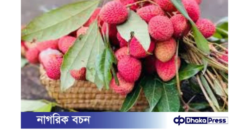 লিচু: সুস্বাদু ফল, সতর্কতার সাথে খান!