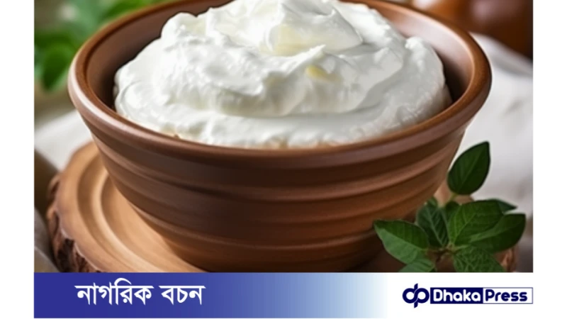 বাড়িতেই বানিয়ে ফেলুন দোকানের মতো টক দই