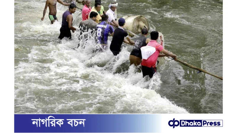 শ্রীলঙ্কায় বন্যা, ভূমিধস ও গাছ পড়ে ১৪ জনের মৃত্যু