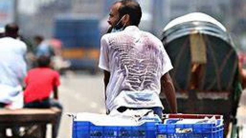 চুয়াডাঙ্গায় কেন গরমে হাঁসফাঁস আর শীতে কাঁপাকাঁপি