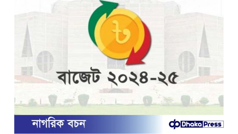 ২০২৪-২৫ অর্থবছরের বাজেটে কালো টাকা সাদা করার সুযোগ পাবেন উচ্চবিত্তরা, বাড়তি করের চাপে পিষ্ট হবে মধ্যবিত্ত