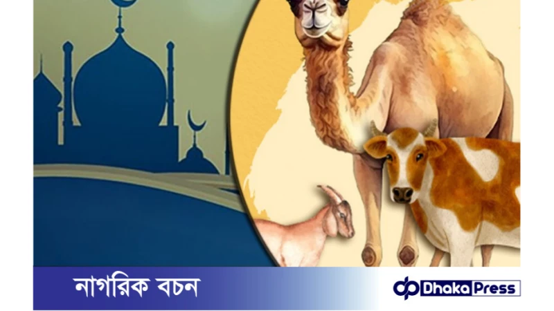 মুসাফিরের উপর কোরবানি ওয়াজিব নয়