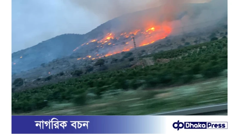ইসরায়েলে তীব্র দাবানল নিয়ন্ত্রণে লড়াই করছে কর্তৃপক্ষ