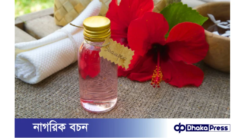 চুলের যত্নে কীভাবে ব্যবহার করবেন জবা ফুল