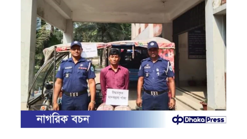 ৭ কেজি গাঁজাসহ মাদক কারবারি মফিকুল গ্রেফতার