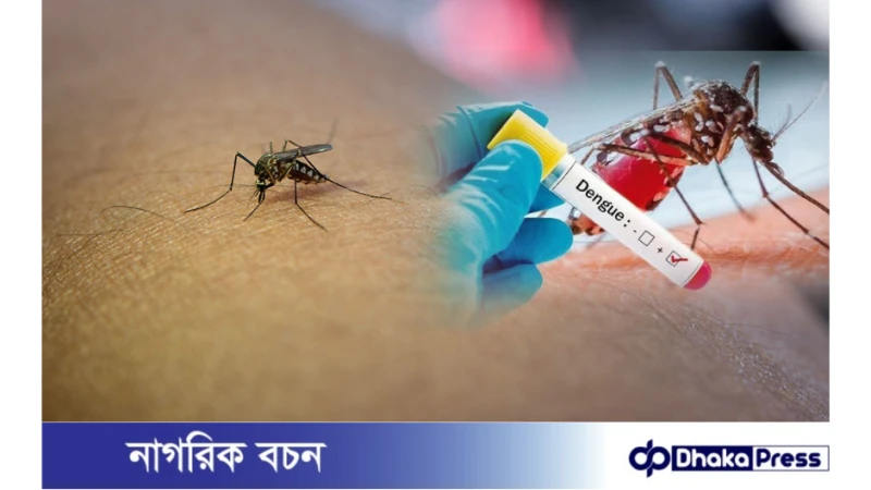 ডেঙ্গু রোগীর তথ্য না দিলে পরীক্ষার অনুমোদন বাতিল: ডা. ফ্লোরা