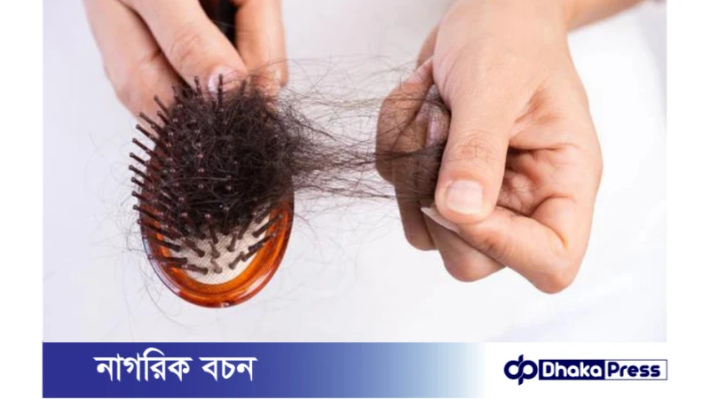 চুল পড়ার সমস্যা সমাধানে, যেসব নিয়ম মেনে চলতে হবে
