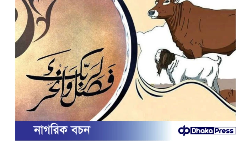 হাদিসে রাসুলুল্লাহ (সা.) কোরবানির নির্দেশ ও নির্দেশনা