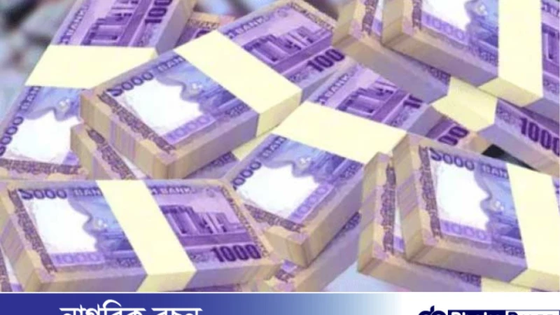 ব্যাংক ঋণ বিতরণে সংকোচনের প্রভাব