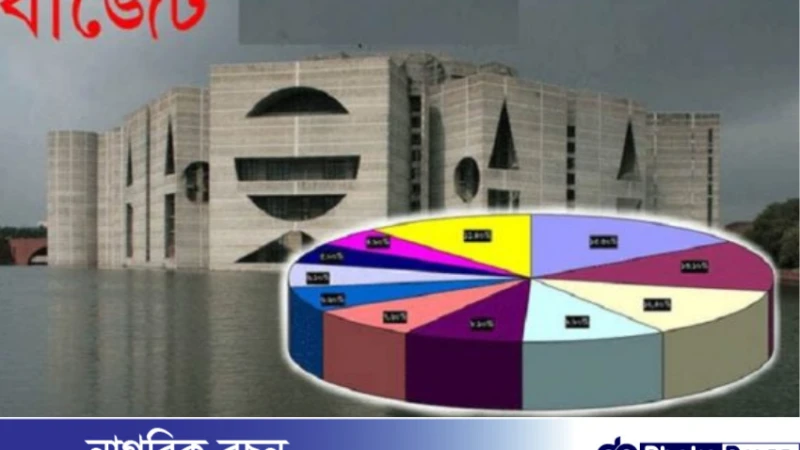 বাড়ছে বাজেটে ব্যয়