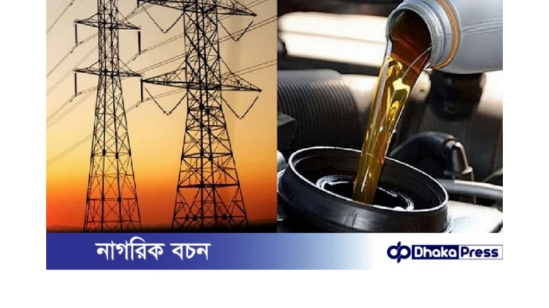 বিদ্যুৎ ও জ্বালানির দামে ঊর্ধ্বগতি বজায় থাকলে উচ্চ মূল্যস্ফীতির লাগাম টানা সম্ভব নয়