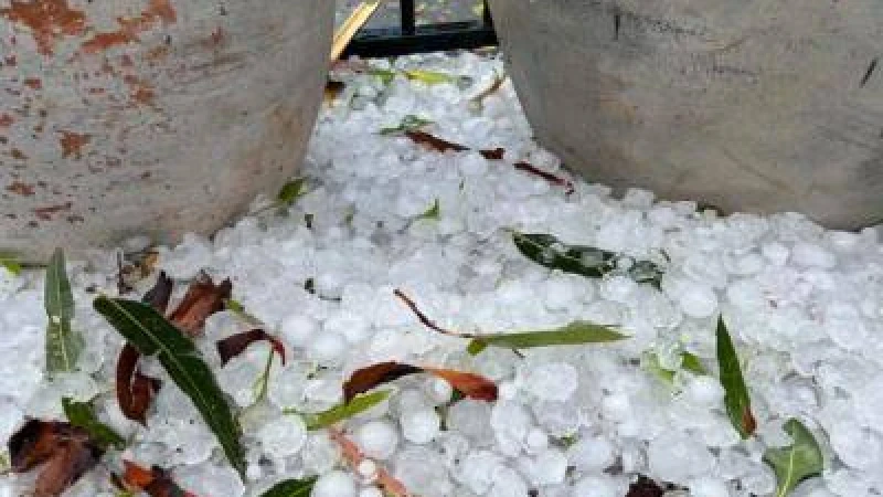 সৌদি আরবে হঠাৎ বিরল শিলাবৃষ্টি!