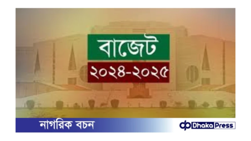 বাংলাদেশের ২০২৪-২৫ অর্থবছরের বাজেট: 