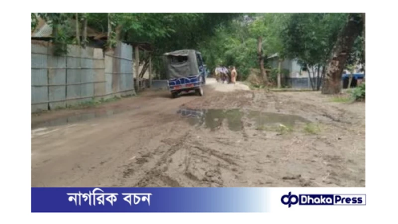 ফুলবাড়ীর বেহাল সড়ক : যাত্রীদের দুর্ভোগের শেষ নেই!