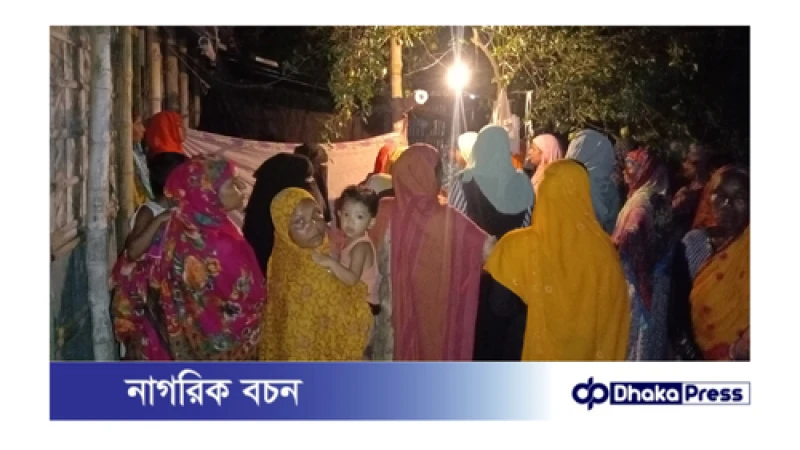 ঈদের ছুটিতে বাড়ি ফিরছিলেন জাবি ছাত্রী রিমু, পথে ঝরল প্রাণ