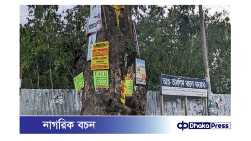 গাছের বুকে পেরেক: বিজ্ঞাপনের নোংরা খেলায় ঝুঁকির মুখে পরিবেশ