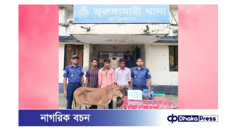 ভূরুঙ্গামারী চোরাইগরু ও পাম্পসহ ৩ চোর গ্রেফতার