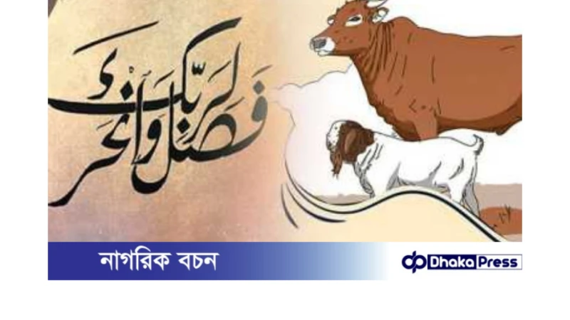 ঋণগ্রস্ত থাকলে কোরবানি দেওয়া যাবে কি?