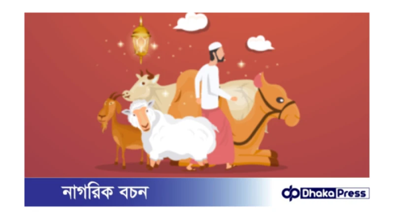 কোরবানির পশুর যেসব ত্রুটি থাকলে কোরবানি শুদ্ধ হয় না