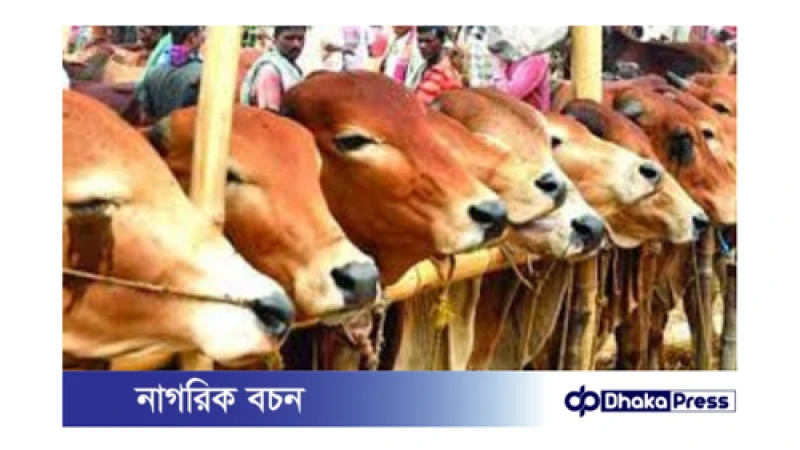 ঢাকার কোরবানির পশুর হাটের তালিকা