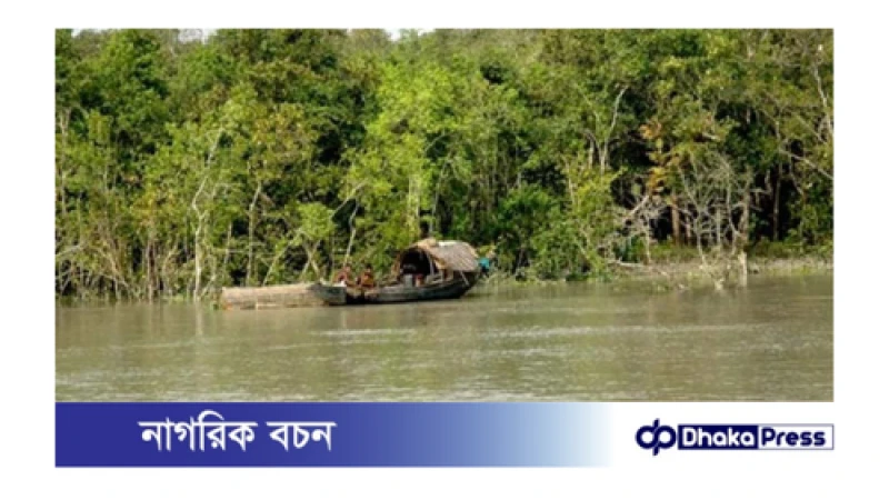 বাজেটে জলবায়ু পরিবর্তন খাতে বরাদ্দ বাড়লেও সুন্দরবন রক্ষায় নেই স্পষ্ট কোনো ঘোষণা