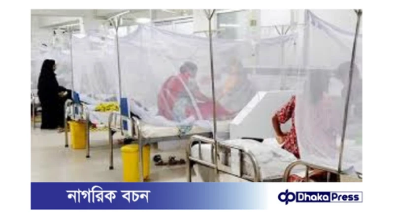 জুন মাসের প্রথম ১০ দিনে ডেঙ্গুতে ৩ জনের মৃত্যু, হাসপাতালে ২৫০ জন
