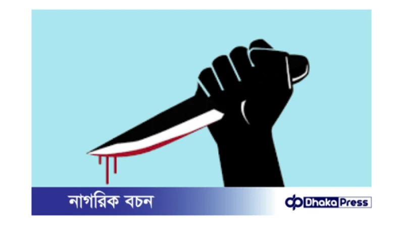 নওগাঁয় দুর্বৃত্তের ছুরিকাঘাতে বৃদ্ধা নিহত 