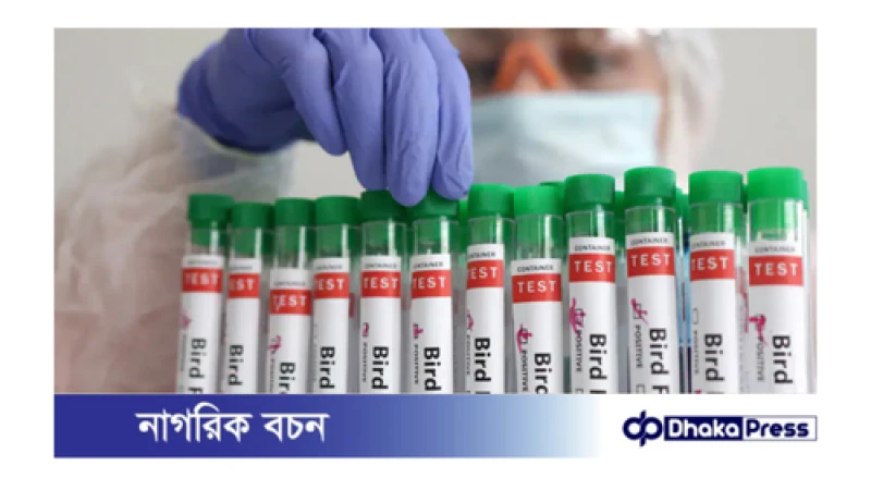 পশ্চিমবঙ্গে ৪ বছরের শিশুর শরীরে বার্ড ফ্লু শনাক্ত