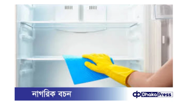 ডিপ ফ্রিজ পরিষ্কার করার সহজ উপায়: