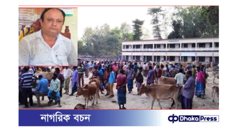 দুর্গাপুর উচ্চ বিদ্যালয়ের মাঠে পশুর হাট: বিতর্ক এখনো চলমান